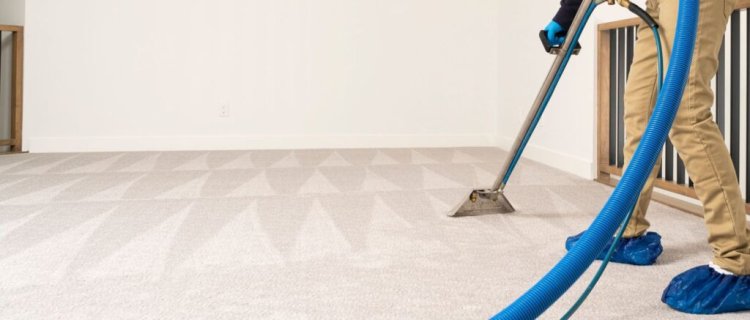 Why Professional Carpet Cleaning Should Be a Regular Routine for Every Home