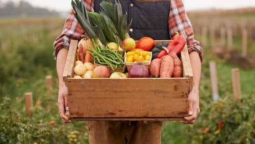 Why Choose Organic Vegetables? 5 Key Benefits