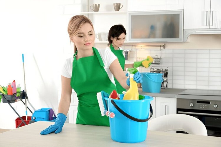 How to Select the Perfect Cleaners for Every Room in Your Home