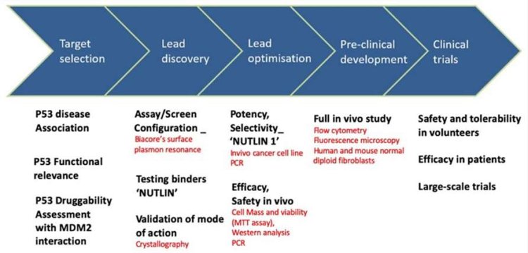 CD BioSciences Unveils Comprehensive Preclinical Development Solutions to Accelerate Anti-Aging Drug Research