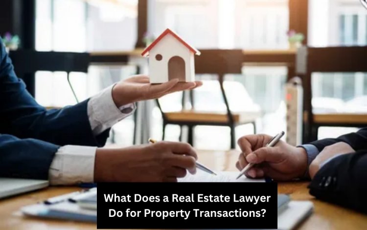 What Does a Real Estate Lawyer Do for Property Transactions?